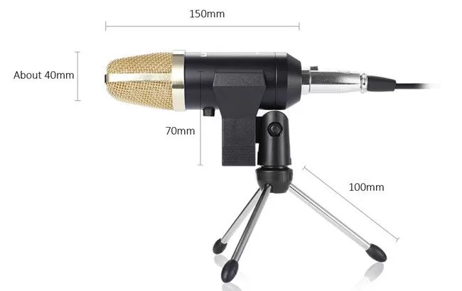 BM-100FX USB Powered Condenser Studio Recording Mi