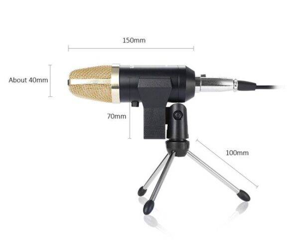 BM-100FX USB Powered Condenser Studio Recording Microphone With Noise Cancel And Echo Effect-01