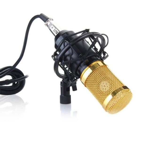 BM800 Microphone- High Performance Condenser Microphone For YouTube Studio-01