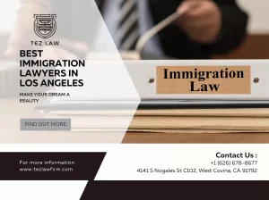 Immigration Lawyer | Dealing With Immigration Issues