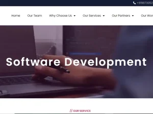 Software Development Company in Delhi NCR