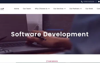 Software Development Company in Delhi NCR