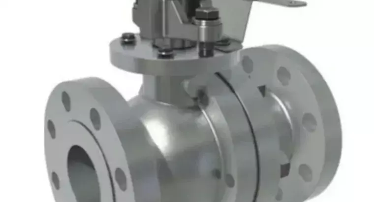 Superior Titanium Ball Valve Manufacturer in India