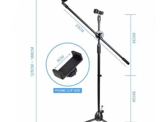 Microphone Stand With Adjustable Two Microphone From Floor To Standing Position (LW-38)
