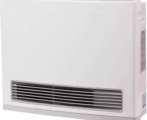 Rinnai FC824N Ventless Natural Gas Heater, Energy-Efficient