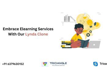 Lynda Clone for Long-term E-learning Services