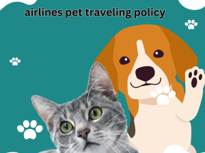 what is jetblue airlines pet travelling policy in 2024