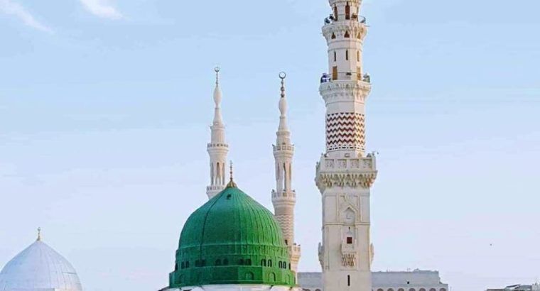 Saudia Arabia Visa Processing