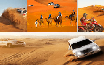 Premium Morning Desert Safari Dubai for Tourists