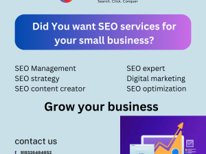 SEO Services in CBD Belapur – Rank Higher get Website Found
