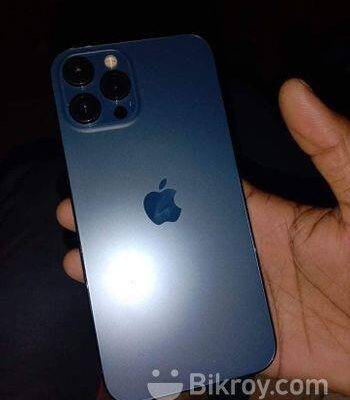 Apple iPhone 13 Pro Max . (Used)