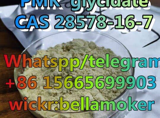 cas 28578-16-7 2-Oxiranecarboxylicacid/new PMK oil/pmk powde
