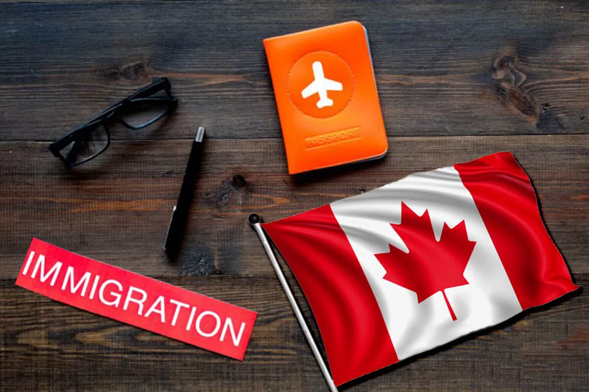 Best Immigration Lawyers in Halifax, Canada
